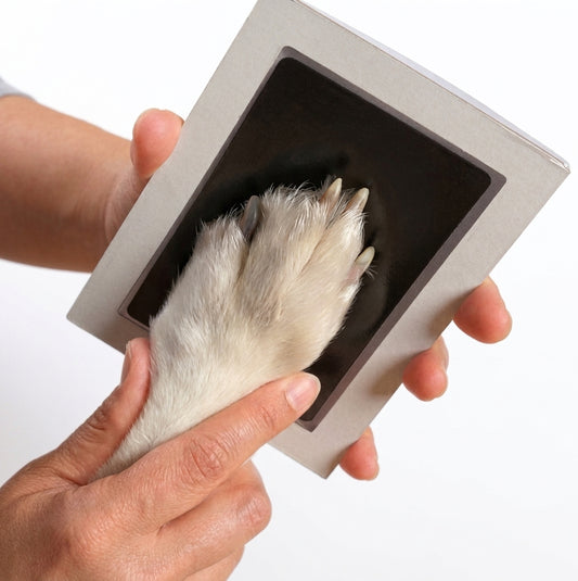 Personalized Pet Paw Print Keepsake Kit