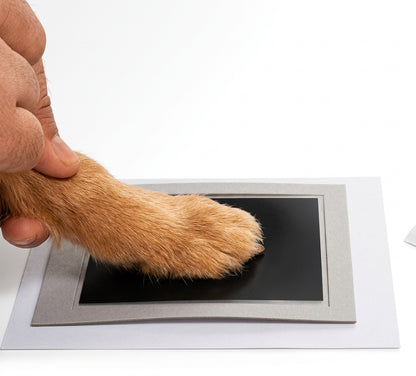 Personalized Pet Paw Print Keepsake Kit